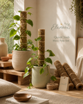 Elunvox™ QuietClimb Moss Pole Set